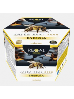Regal Abelha Energia - 20 Ampolas - Novadiet